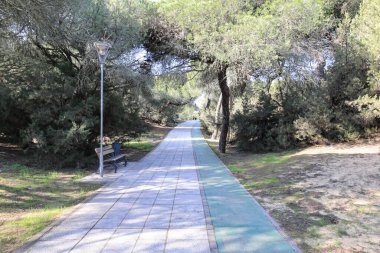 Punta Umbria Huelva 'daki Portil Sahili' nin çam ormanları arasında yaya yürüyüşü ve bisiklet yolu