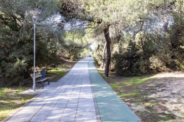 Punta Umbria Huelva 'daki Portil Sahili' nin çam ormanları arasında yaya yürüyüşü ve bisiklet yolu
