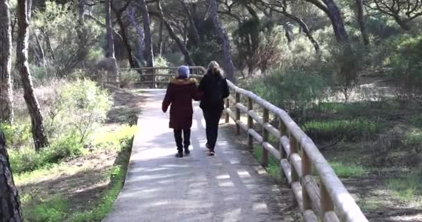 Eine Reife Frau Spaziert Mit Ihrer Älteren Mutter Auf Einem — Stockvideo