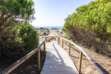 Ahşap yolu tepeleri ve pines plajda Punta Umbria, Huelva üzerinde. Los Enebrales beach