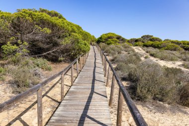 Ahşap yolu tepeleri ve pines plajda Punta Umbria, Huelva üzerinde. Los Enebrales beach
