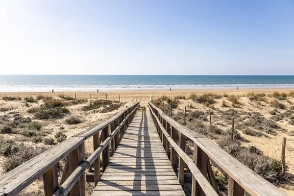 Dřevěná Cesta Přes Duny Borovic Pláži Punta Umbría Huelva Pláž — Stock fotografie