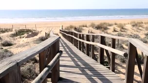 Pov Walking Wooden Pathway Dunes Pines Beach Punta Umbria Huelva — стоковое видео