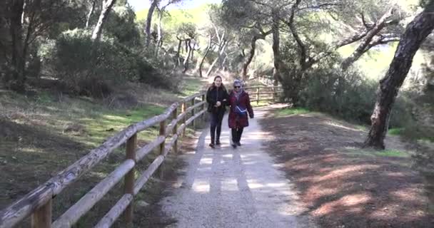 Una Mujer Madura Caminando Con Anciana Madre Por Sendero Forestal — Vídeos de Stock