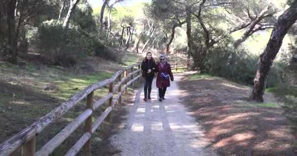 Una Mujer Madura Caminando Con Anciana Madre Por Sendero Forestal — Vídeo de stock