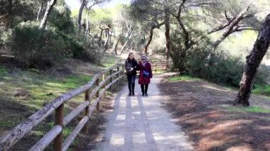 Olgun bir kadın, yaşlı annesiyle Akdeniz çamları arasında orman yolunda yürüyor.