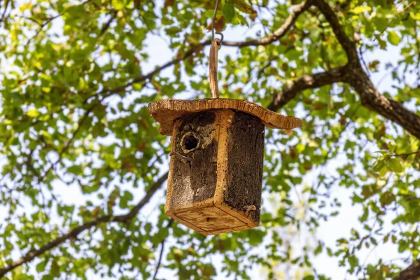 Ağaçta asılı mantar kuş evi