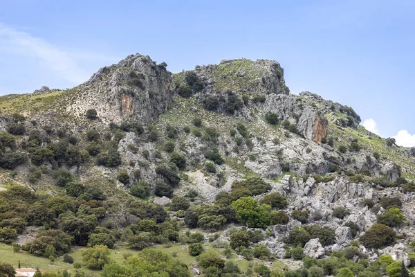 Nasjonalparken Sierra Grazalema Fjell Cadiz Andalusia Spania – stockfoto