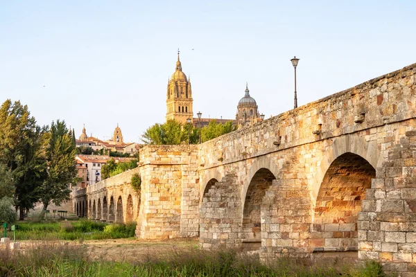 Den Romerska Bron Över Salamanca Spanska Puente Romano Salamanca Även — Stockfoto