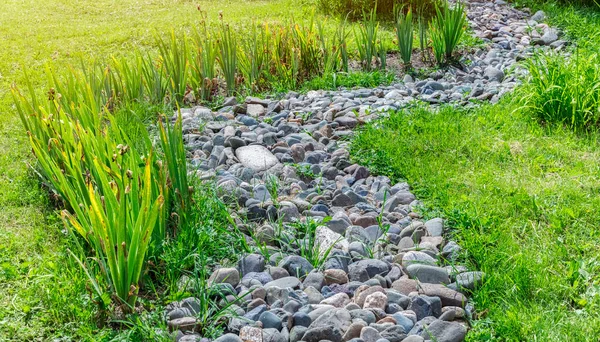 Rivier Van Steen Een Groene Tuin Tuindecoratie Concept Decor Landschapsontwerp — Stockfoto