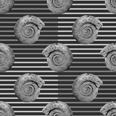 Çizgili arka planda ammonitler. Giysi tasarımı için kusursuz desen, ambalaj kağıdı üzerine yazdırma