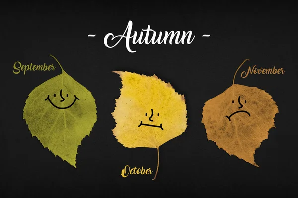 Colored Leaves Faces Black Background Concept Season Autumn Flat Lay — Stock Photo, Image