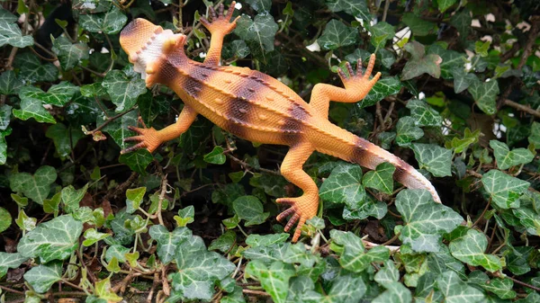 Juguete Lagarto Plástico Naranja Naturaleza —  Fotos de Stock