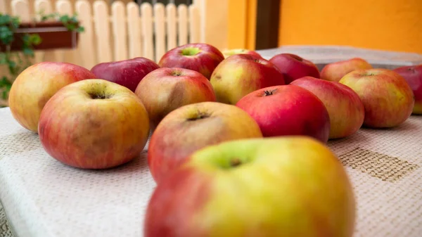 Organic Yellow Red Apples Backyard Table — Stock Photo, Image