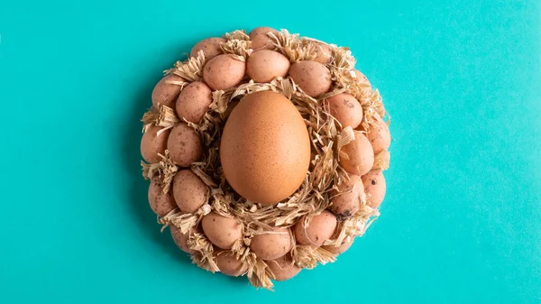 Huevos Nido Sobre Fondo Turquesa — Foto de Stock