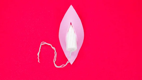 Female Health Menstruation Concept Vagina Symbol Tampon Copy Space —  Fotos de Stock