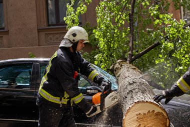 28 Mayıs 2021, Riga Letonya: Şiddetli bir rüzgar yakındaki park halindeki bir arabanın üzerine düşen bir ağacı kırdı.