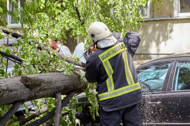 28 Mayıs 2021, Riga Letonya: Şiddetli bir rüzgar yakındaki park halindeki bir arabanın üzerine düşen bir ağacı kırdı.