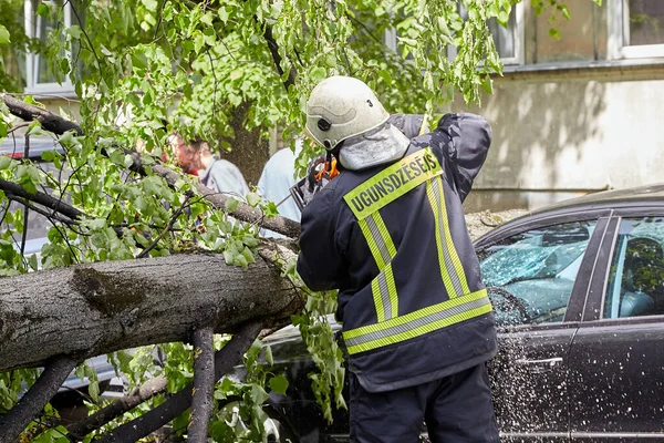 28 Mayıs 2021, Riga Letonya: Şiddetli bir rüzgar yakındaki park halindeki bir arabanın üzerine düşen bir ağacı kırdı.