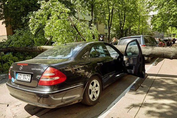 28 Mayıs 2021, Riga Letonya: Şiddetli bir rüzgar yakındaki park halindeki bir arabanın üzerine düşen bir ağacı kırdı.