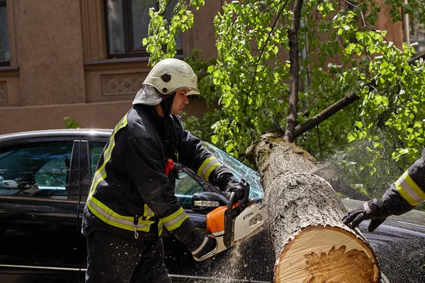 Mei 2021 Riga Letland Een Harde Wind Brak Een Boom Rechtenvrije Stockafbeeldingen