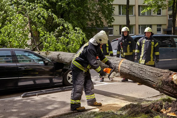 Května 2021 Riga Lotyšsko Silný Vítr Zlomil Strom Který Spadl Stock Obrázky