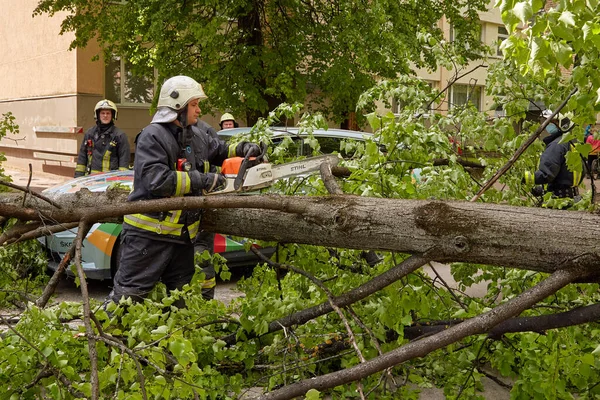 Května 2021 Riga Lotyšsko Silný Vítr Zlomil Strom Který Spadl Stock Snímky