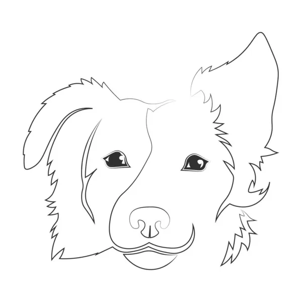 輪郭線で描かれた犬の頭のベクトルアイコン — ストック写真
