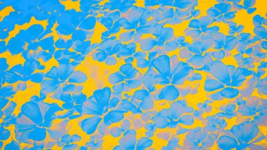 Suluboya mavi çiçekler. Parlak sarı bir çiçek. 9 arka planda 16.