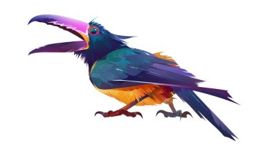 Beyaz arkaplanda sanat parlak kuş toucan arasari