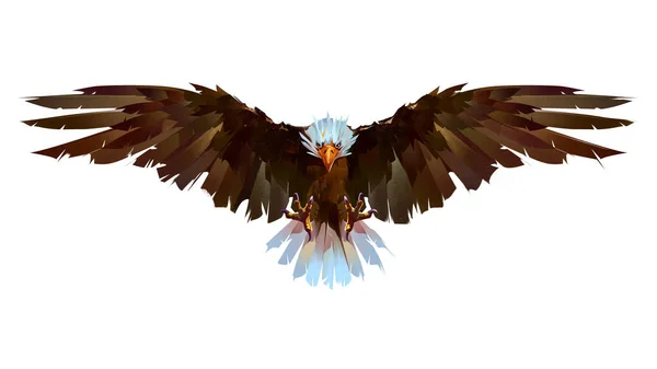 art drawn eagle bird flying on white background