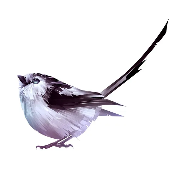 Kunst Farbe Sitzende Vogelmeise Auf Weißem Hintergrund — Stockfoto