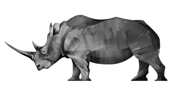 Искусство Диких Животных Носорогов Белом Фоне — стоковое фото