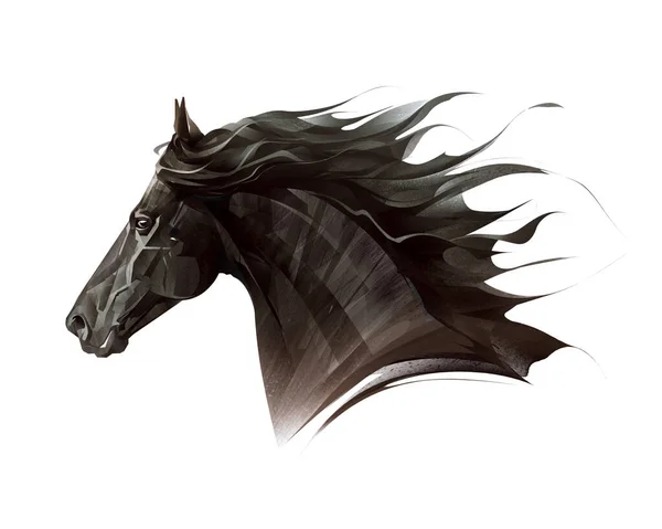Ručně kreslený grafický portrét koně na bílém pozadí — Stock fotografie