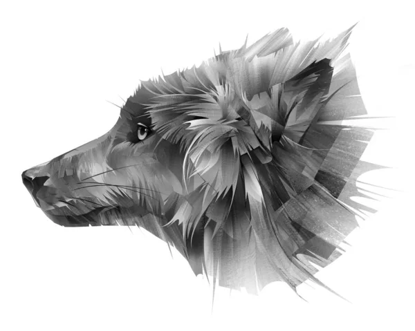 Painted portrait of a muzzle of a wolf on a white background Royalty Free Stock Photos