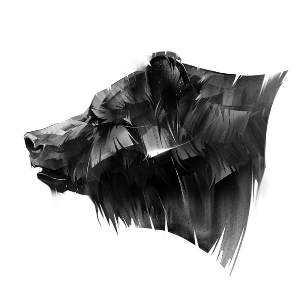 Retrato pintado de un hocico de un oso sobre un fondo blanco Imagen de archivo