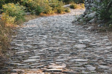 Yeşilliklerle çevrili bir yol, bir köy yolu.