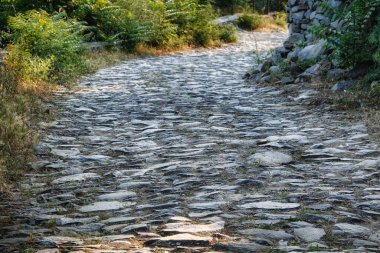 Yeşilliklerle çevrili bir yol, bir köy yolu.