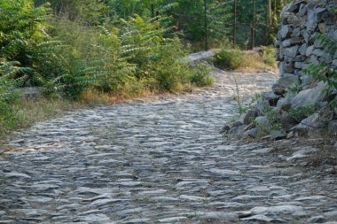 Yeşilliklerle çevrili bir yol, bir köy yolu.. 