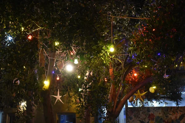 Ege Akdeniz restoranı ağaçlarda asılı sevimli lambaları olan güzel bir bahçede