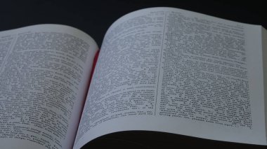 Antik Yunan Sözlük Eğitimi, bilgi kavramı