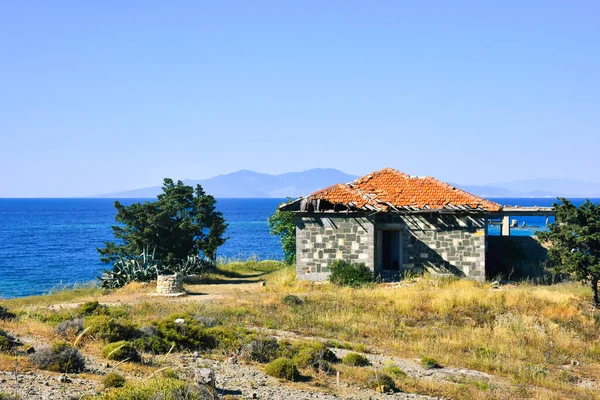 Figuier Debout Bord Mer Foa Cachemire Une Vieille Maison Pierre — Photo