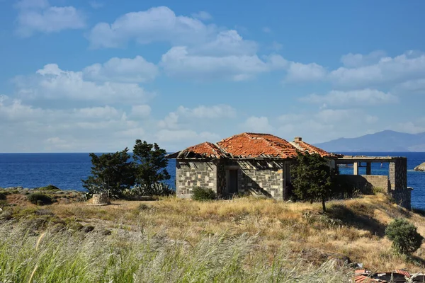 A fig tree standing by the sea in Foa, zmir, and an old stone house and a water well next to it. An animation of an Aegean town.