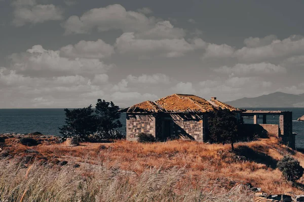 A fig tree standing by the sea in Foa, zmir, and an old stone house and a water well next to it. An animation of an Aegean town.Dramatic view