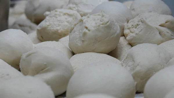 Prepared dough balls for restaurant baking. Pizza, pita, dough balls