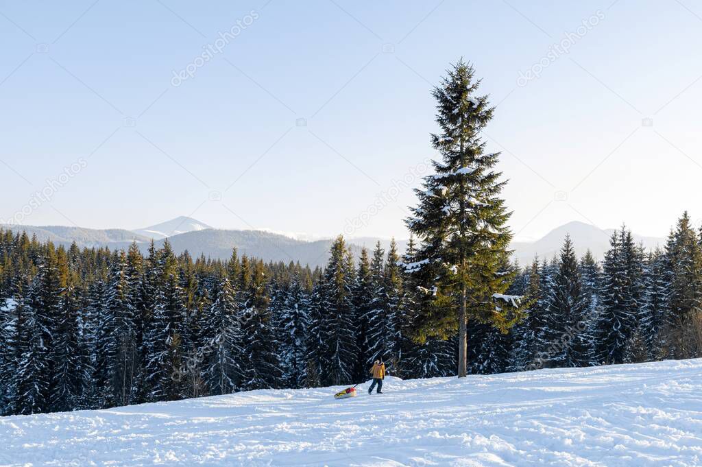 Winter day in the mountains. Everything is covered with snow. Sunset or golden hour. Mount Hoverla and Petros on the horizon. The child pulls up the sledge. Active lifestyle