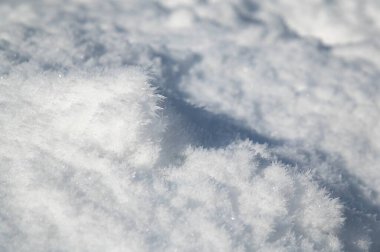 Kar, kırağı kaplamıştı. Pankart, arkaplan ya da sahne arkası için kış deseni. Havadaki yüksek nemin sonucu.