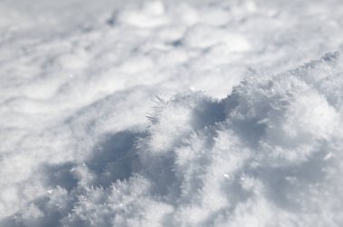 Kar, kırağı kaplamıştı. Pankart, arkaplan ya da sahne arkası için kış deseni. Havadaki yüksek nemin sonucu..