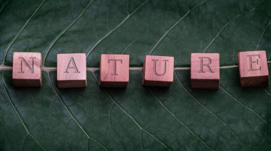 Palmiye yaprağının tepesinde, üzerinde doğa yazan tahta zarlar..