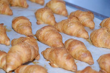 Fırında yapılan tepside küçük kruvasanlar..